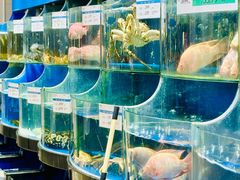 -果蔬好生活超市(东湖店)