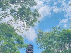 -红花山公园