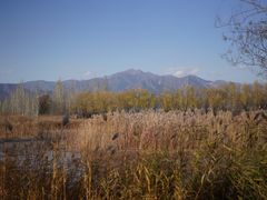 -野鸭湖国家湿地公园