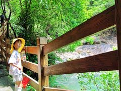 -广州白江湖森林公园