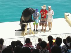 -北戴河圣蓝海洋公园