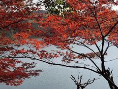 -羊山湖公园