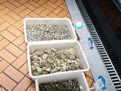 -禾记海鲜烧烤(八一路店)