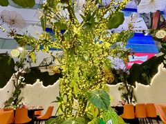 -驻海渔市(置信店)