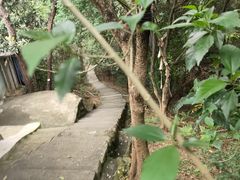 -风云岭森林公园