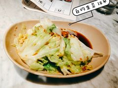 -MR鹅外