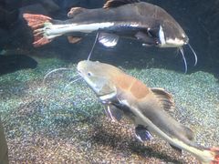 -太平洋海底世界