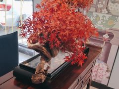 -顺峰(农展馆店)
