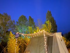 -禅宗少林·音乐大典