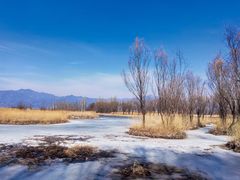 -野鸭湖国家湿地公园