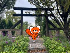 -天府芙蓉园