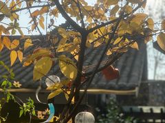 -诗婢家(宽窄巷子店)