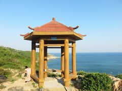 -广东惠东海龟国家级自然保护区