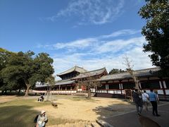 -奈良公园