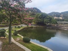 -厦门国家会计学院