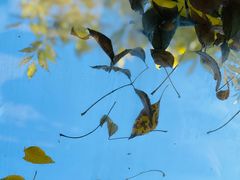 -VOYAGE COFFEE(北锣鼓巷店)