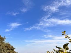 -香山公园