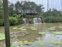 -中国科学院西双版纳热带植物园