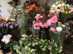 -一棵树咖啡馆(泉乐坊店)