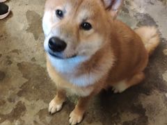 -萌喵咖啡屋(人民东路4号口M16商铺店)
