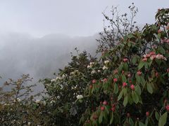 -九峰山