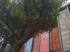 -宁波美术馆