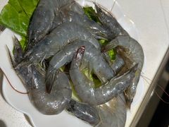 -二荆条·蜀鲜汇城市森林火锅