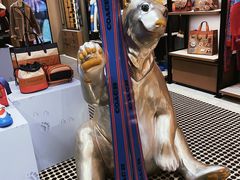 -COACH蔻驰(德基广场店)