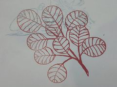 -香山公园-东宫门售票处