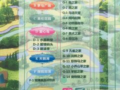 -爱丽丝仙境花海