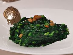 清炒豆苗-誉珑轩
