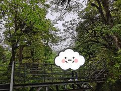 -龙苍沟森林公园