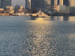 -海河外滩公园