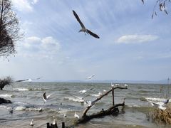-捞渔河湿地公园