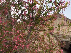 -回龙窝历史文化街区