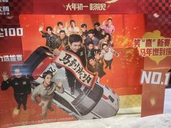 -奥斯卡升龙国际影城(RealD Cinema)