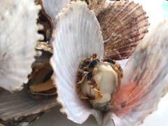 -聚德福海鲜家常菜(刘庄店)