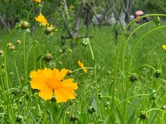 -上海浦江郊野公园-5号停车场