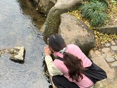 -中国茶叶博物馆(双峰馆区)
