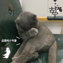 -蚂蚁造型沙龙