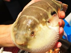 -永安鱼庄·镇江菜(东吴路店)