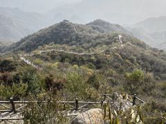 -大岭沟猕猴桃谷风景区