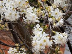 -名花谷生态庄园