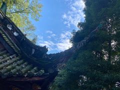 -青城山