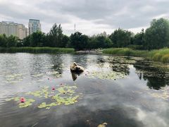 -群力丁香公园