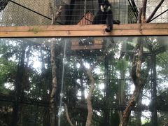 -海南热带野生动植物园