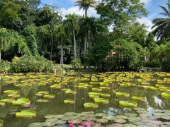 -中国科学院西双版纳热带植物园
