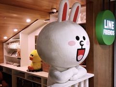 -line friends(明洞旗舰店)