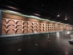 -大庆市博物馆