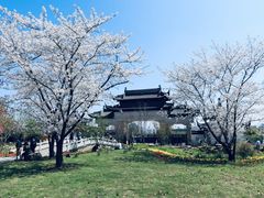 -苏州上方山国家森林公园